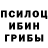 Псилоцибиновые грибы мицелий AS films