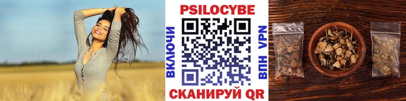 блэк спрут ССЫЛКА Ессентуки Галлюциногенные грибы Magic Shrooms