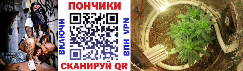 Канабис VHQ  Ессентуки 
